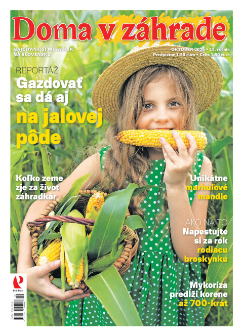 Doma v záhrade